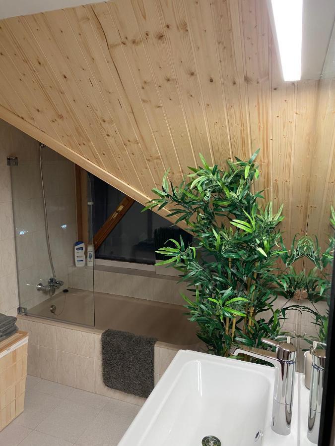 Atico Duplex Reformado Con Vistas A La Montana Apartment Canfranc Ngoại thất bức ảnh