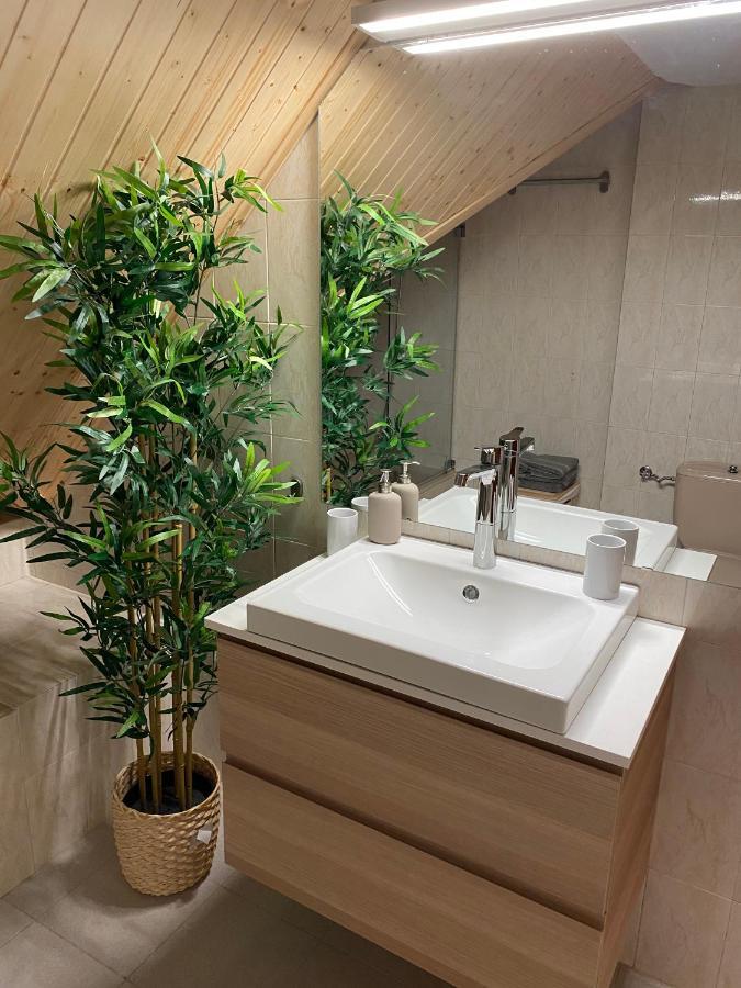 Atico Duplex Reformado Con Vistas A La Montana Apartment Canfranc Ngoại thất bức ảnh